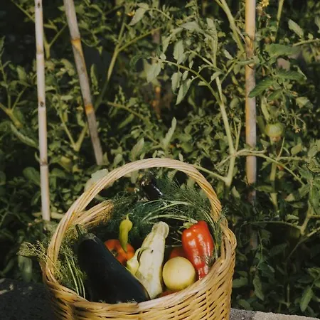 Porto Valitsa بيت ضيافة 4*