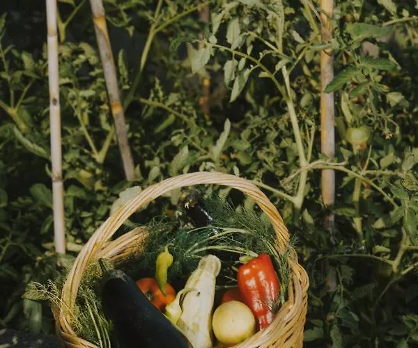 Porto Valitsa Konukevi 4*